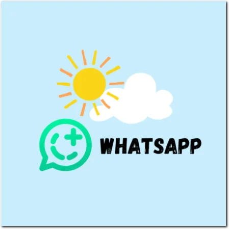 Chat Whatsapp